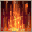 Fire Wall